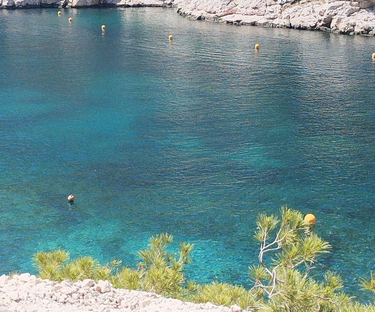 Marseille: Guided Hiking Calanques National Park from Luminy - Guide style and personal attention