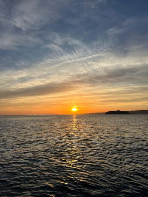 Marseille: Sunset catamaran cruise, buffet & drinks - Key points to know before booking