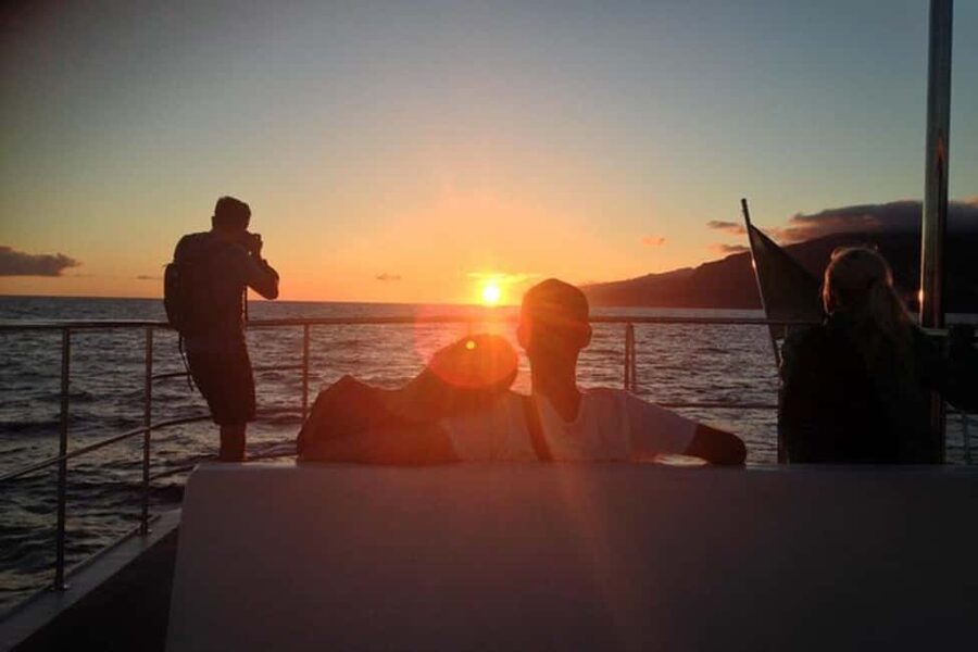 Marseille: Sunset catamaran cruise, buffet & drinks - Drinks, music, and the social mood