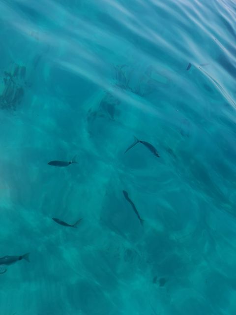 Marseille: Sunset Frioul Archipelago Boat Cruise - Swimming, seating, and onboard comfort