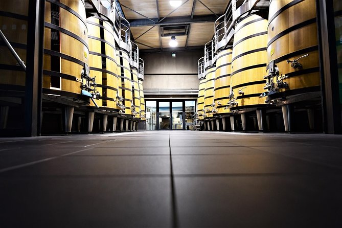 Medoc Afternoon Wine Tour - 2 Wineries, tastings & delicacies - The guides make or break the afternoon