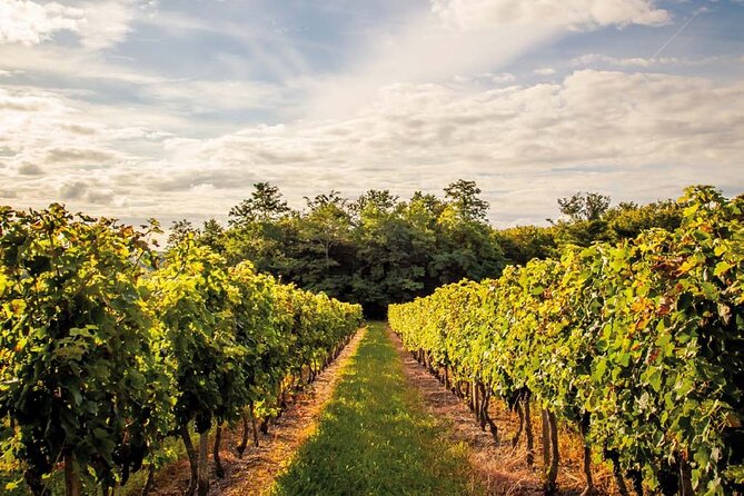 Médoc Region Half-Day Wine Tour with Winery Visit & Tastings from Bordeaux - Eat before you leave Bordeaux