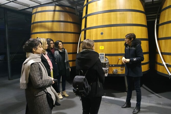 Medoc Region Wine Day Trip with Vineyard Visits & Tastings from Bordeaux - Leaving Bordeaux in a Small Minivan