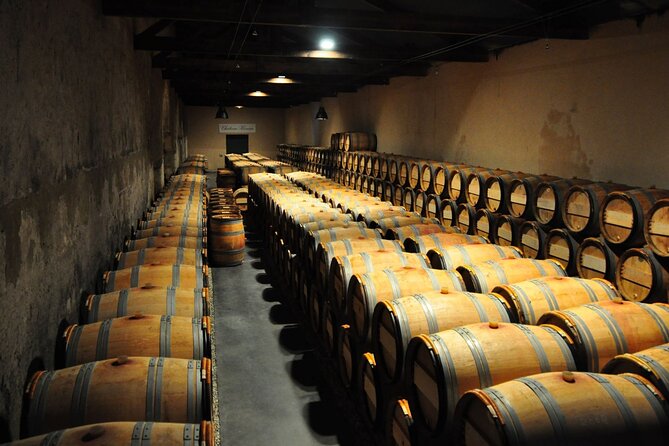 Medoc Region Wine Day Trip with Vineyard Visits & Tastings from Bordeaux - Pauillac Free Time: Lunch, Walking, or Another Taste
