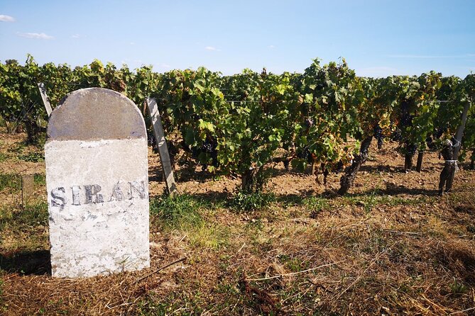 Medoc Region Wine Day Trip with Vineyard Visits & Tastings from Bordeaux - Second Tasting: Pauillac or Saint-Estèphe
