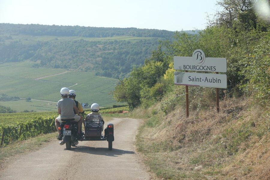 Meursault: Tour of the Vineyards on Motorbike with Sidecar - Photos, comfort, and the practical side of riding