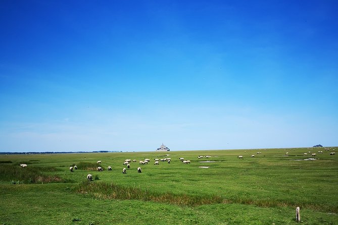 Mont Saint-Michel Day Trip from Bayeux (Shared tour) - Free time for food, photos, and the village