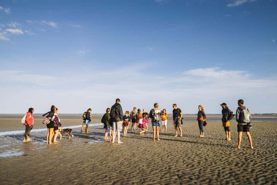 Mont-saint-Michel : Walk in the heart of the Bay - Walking barefoot across the exposed bay