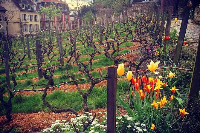 Montmartre Highlights - Bohemian Streets & Sacré-Coeur Basilica - The walking demands are real