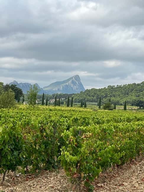 Montpellier: Pic Saint-Loup Wine Tour - First winery: meeting the local producer