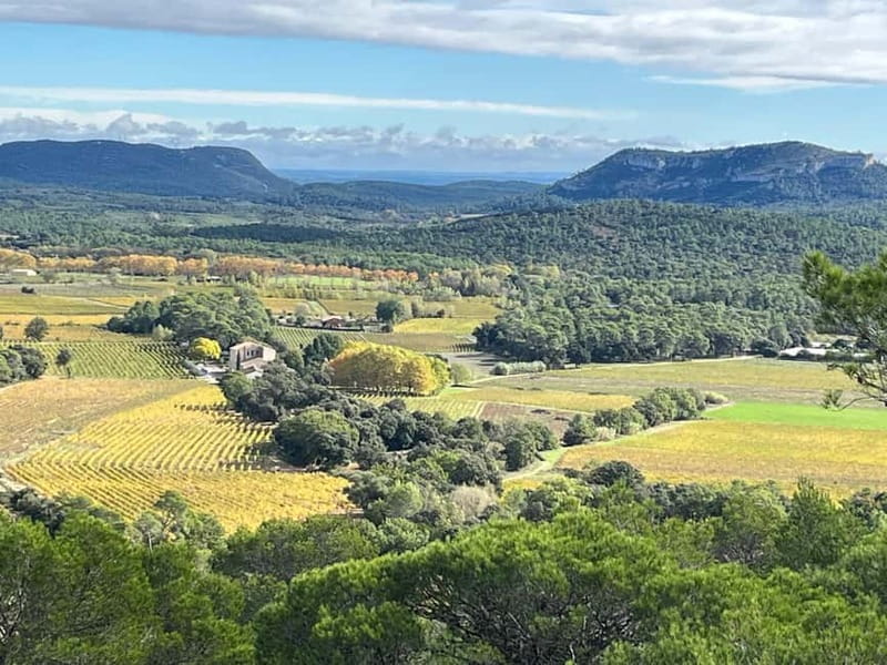 Montpellier: Pic Saint-Loup Wine Tour - The family-home meal costs extra