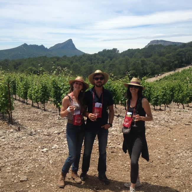 Montpellier: Pic Saint-Loup Wine Tour - Practical details that affect your choice