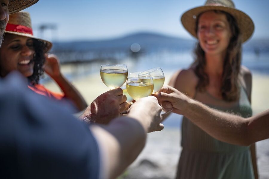 Montpellier Wine and Oyster Tour - The guide makes the difference