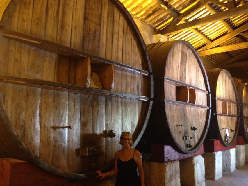 Montpellier Wine and Oyster Tour - Why this short Montpellier tour works