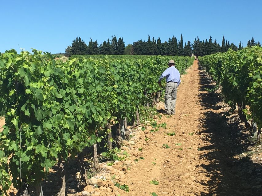 Montpellier Wine and Oyster Tour - The wine estate, castle, and old chapel