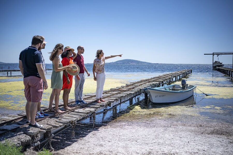 Montpellier Wine and Oyster Tour - Seeing oysters where they are raised