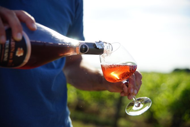 Morning - Loire Valley Wine Tour & Food Pairing, Vouvray - Key points at a glance