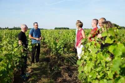Morning – Loire Valley Wine Tour & Food Pairing, Vouvray