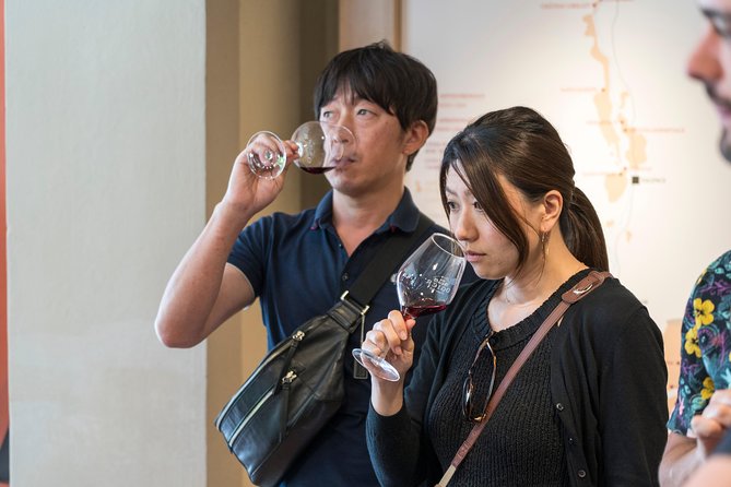 Morning Wine Tour to Chateauneuf du Pape from Avignon - Why Châteauneuf-du-Pape makes a good morning from Avignon