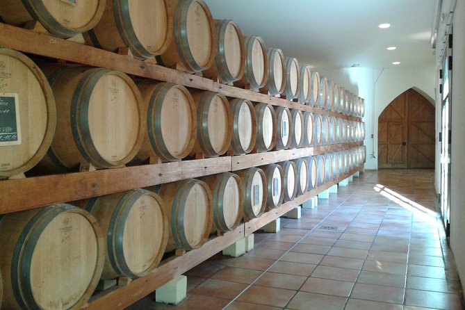 Morning Wine Tour to Chateauneuf du Pape from Avignon - Second winery: useful contrast, uneven depth