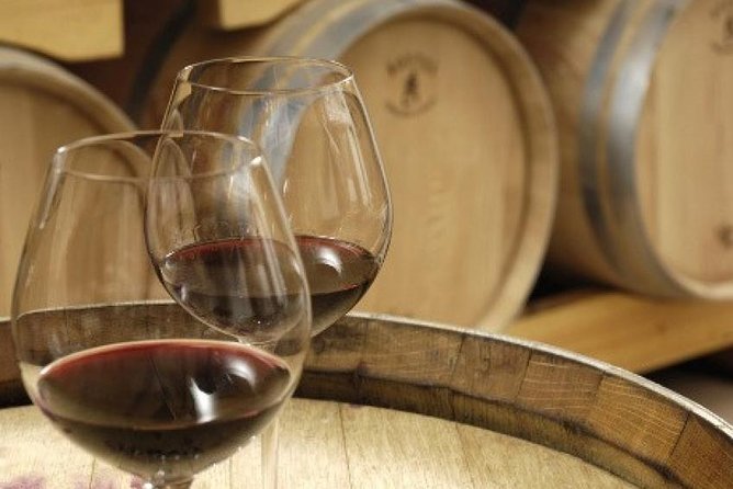 Morning Wine Tour to Chateauneuf du Pape from Avignon - The guides are a major part of the value