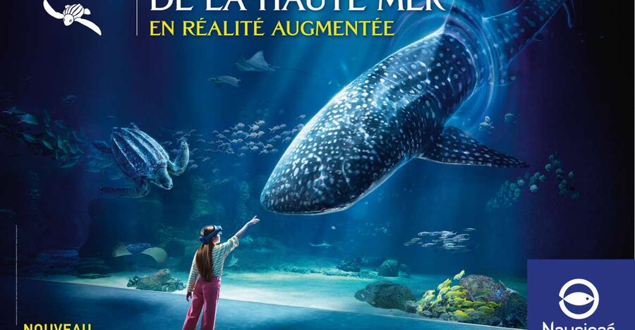 Nausicaá National Sea Center: Full-Day Entry Ticket - Three exhibitions with different jobs to do