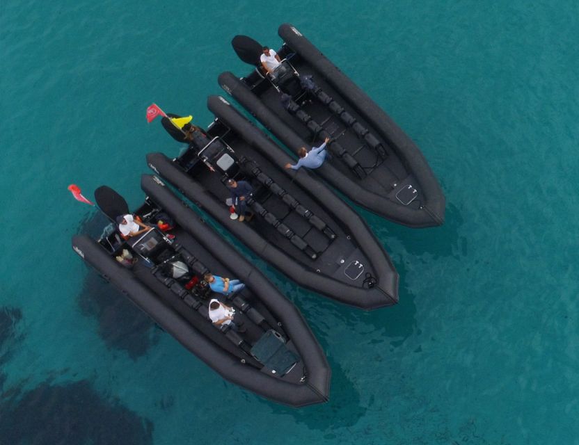 Nice: 1h30 nautical excursion to Cap Ferrat - Who should book this Nice boat trip?