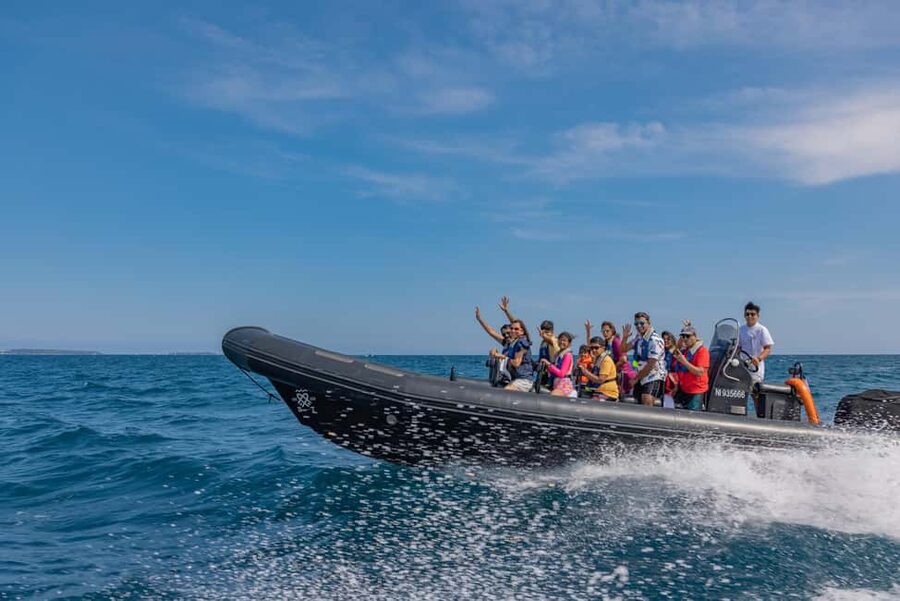 Nice: Coastline Boat Cruise to Monaco - Why seeing the Riviera from the sea matters