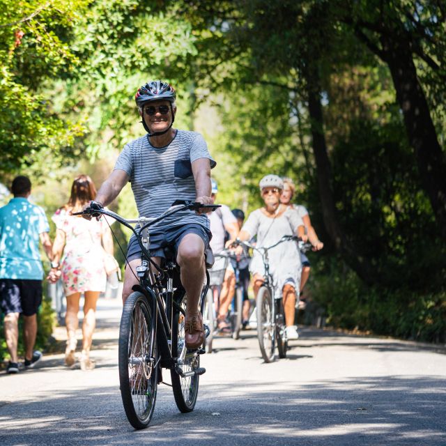 Nice: E-Bike City Highlights Tour - Nice Harbour, where yachts meet fishing boats