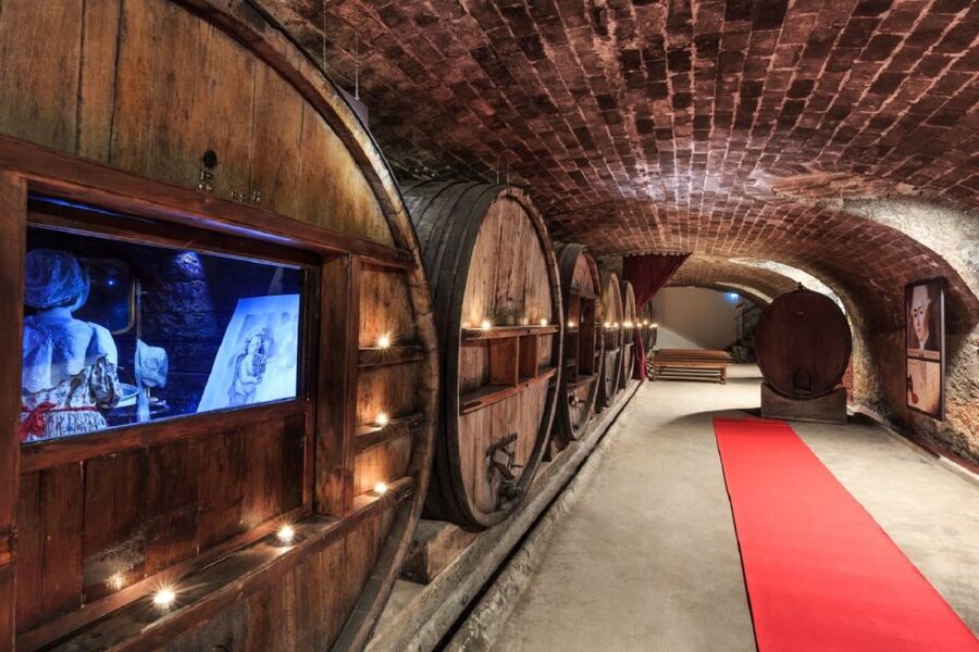 Nice: Full-Day Côtes de Provence Wine Tour - Key points to know before booking