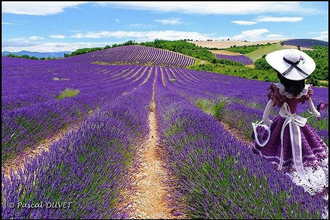 Nice: Gorges of Verdon and Fields of Lavender Tour - Why this day trip is worth the long ride from Nice