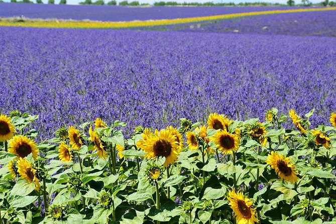 Nice: Gorges of Verdon and Fields of Lavender Tour - Moustiers-Sainte-Marie and a proper lunch stop