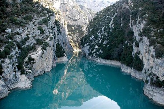 Nice: Gorges of Verdon and Fields of Lavender Tour - Lavender fields with the Alps behind them