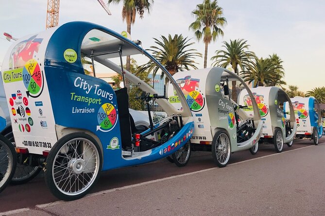 Nice: private guided Tour by electric taxi bike - The Russian Cathedral on the 90-minute option