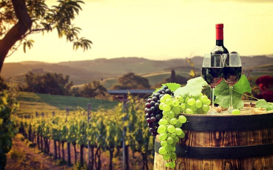 Nice: Provence Village Tour with Wine and Produce Tasting - What this nine-hour day is really like