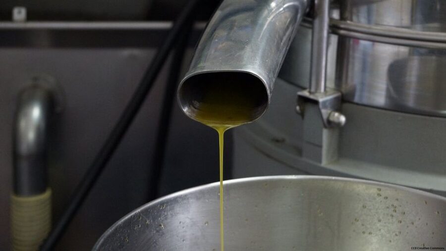 Nice: Provence Village Tour with Wine and Produce Tasting - Opio’s old oil mill and a taste of Provence