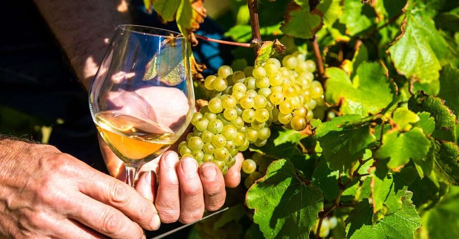 Nice: Provence Village Tour with Wine and Produce Tasting - Biot glass and the craft towns near Nice