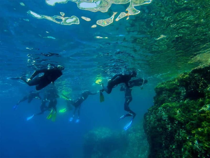 Nice: Snorkeling Speedboat Tour in Villefranche Bay - Leaving Nice by speedboat