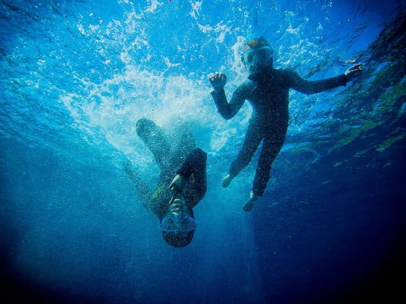 Nice: Snorkeling Speedboat Tour in Villefranche Bay - One hour among fish and sea plants