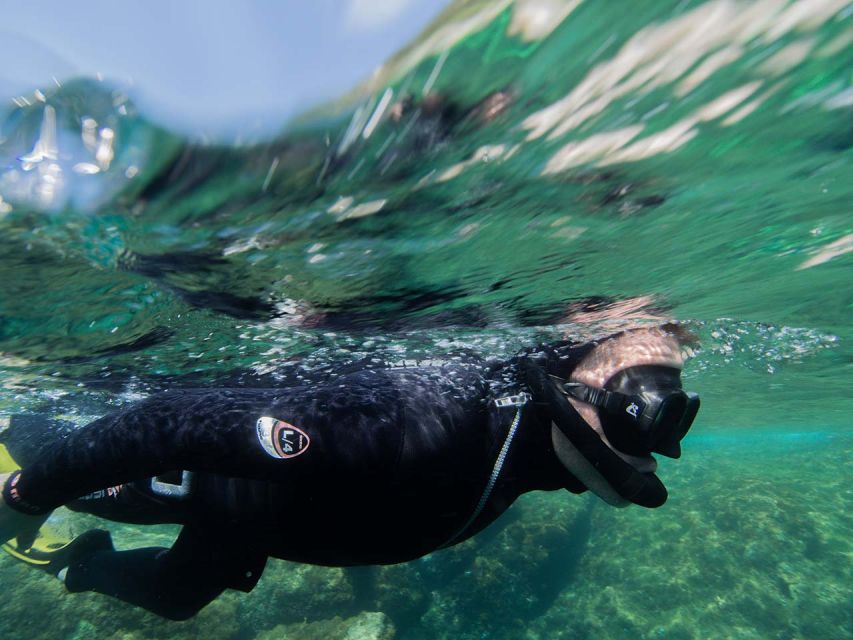 Nice: Snorkeling Speedboat Tour in Villefranche Bay - How the timing really works