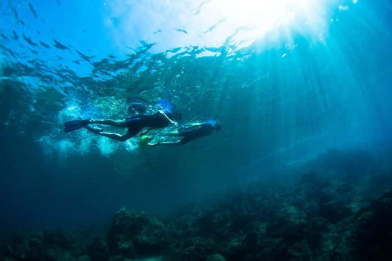 Nice: Snorkeling Speedboat Tour in Villefranche Bay - Practical details that matter