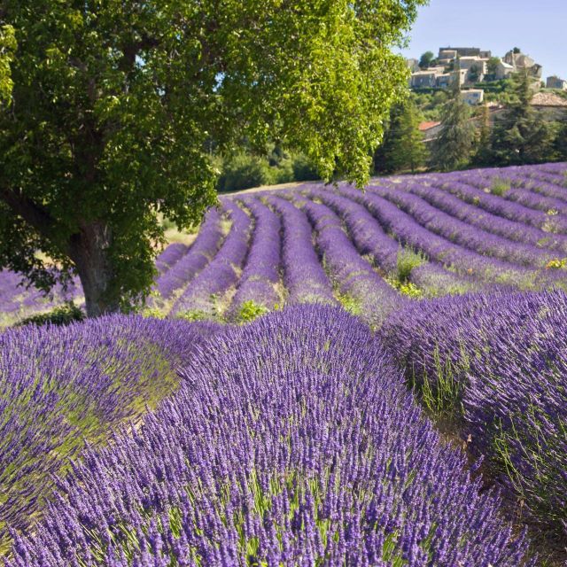 Nice: The Gorges du Verdon and Ste Croix Lake Full-Day Tour - Moustiers-Sainte-Marie and its pottery tradition