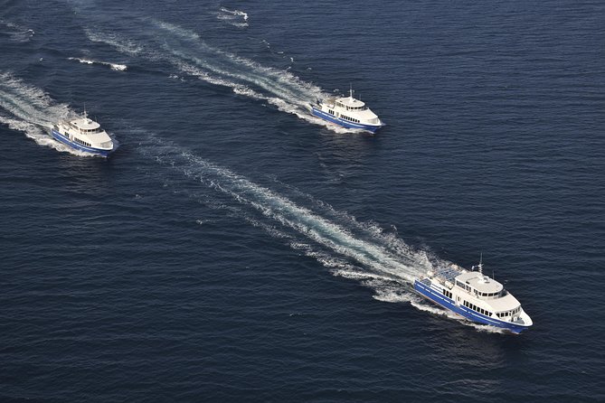 Nice to St Tropez Ferry Ticket and Cruise - Who should book this day trip?