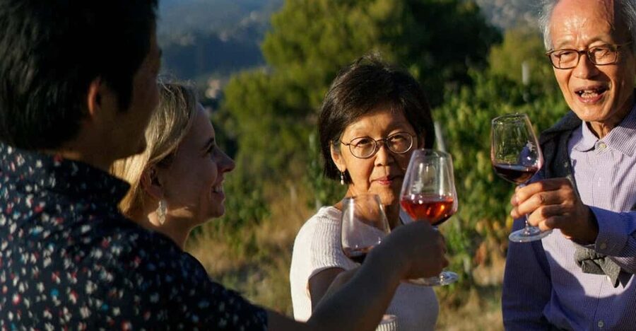 Nice: Vineyard Tour with Wine Tasting - Key points to know before booking