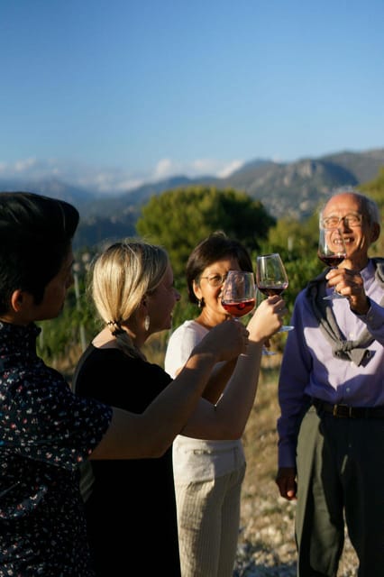 Nice: Vineyard Tour with Wine Tasting - Inside the production area: from grape pressing to storage