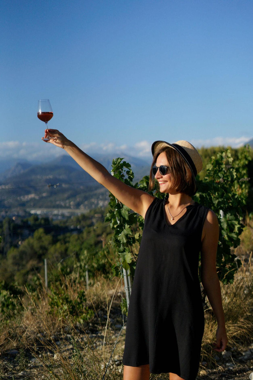 Nice: Vineyard Tour with Wine Tasting - The 30-minute tasting: white, rosé, and red