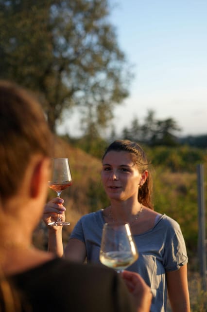 Nice: Vineyard Tour with Wine Tasting - Free time and the question of timing
