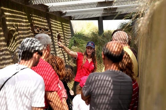 Normandy Battlefields Half Day Tour - Canadian World War II Sites - Juno Beach Centre: Canada’s story under one roof