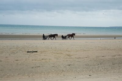 Normandy Battlefields Tour – American Sites (A3)