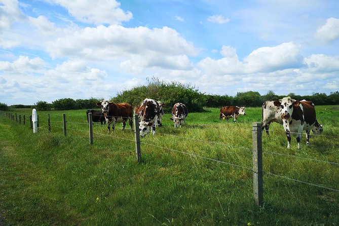 Normandy Battlefields Tour - American Sites (A3) - The guides can shape the entire day